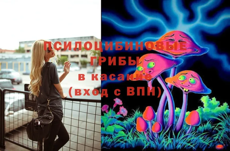 Галлюциногенные грибы Psilocybine cubensis  Бузулук 